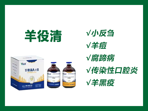 羊役清（A+B）---羊小反芻獸疫、傳染性口瘡、腸毒血癥、羔羊痢疾、羊快疫、羊黑疫、羊猝狙等的緊急預(yù)防和治療
