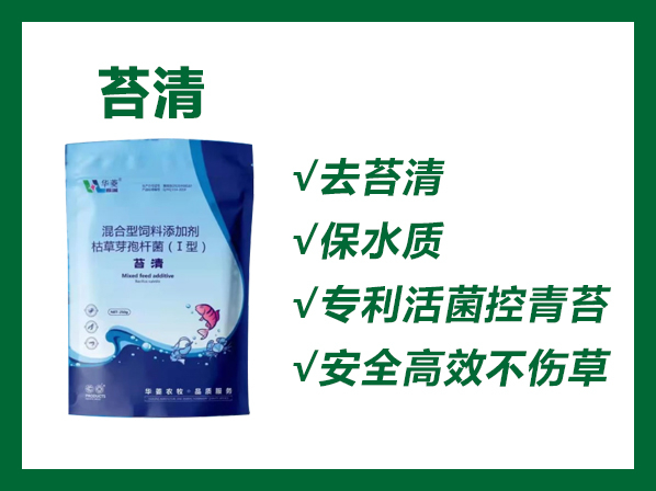 苔清---專利活菌控青苔！高效安全不傷草！