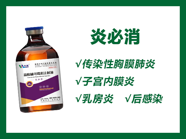 炎必消---產(chǎn)前產(chǎn)后感染；呼吸道綜合征；子宮炎、乳房炎